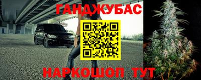 индика Пугачёв