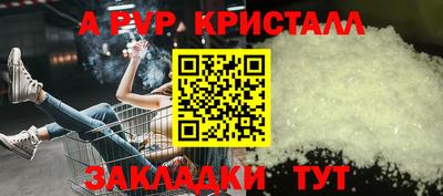 индика Пугачёв