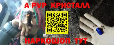 индика Пугачёв
