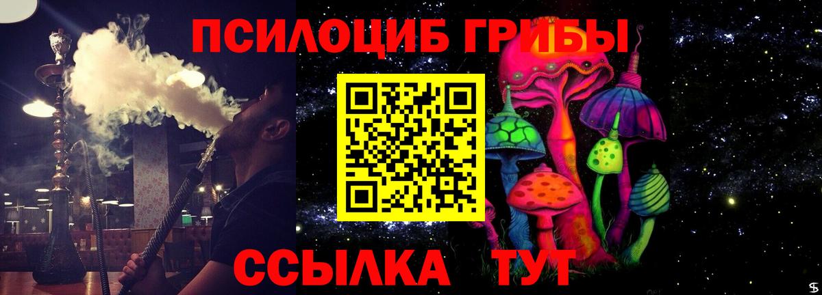 Черкесск  Псилоцибиновые грибы Psilocybe  Вход с VPN 